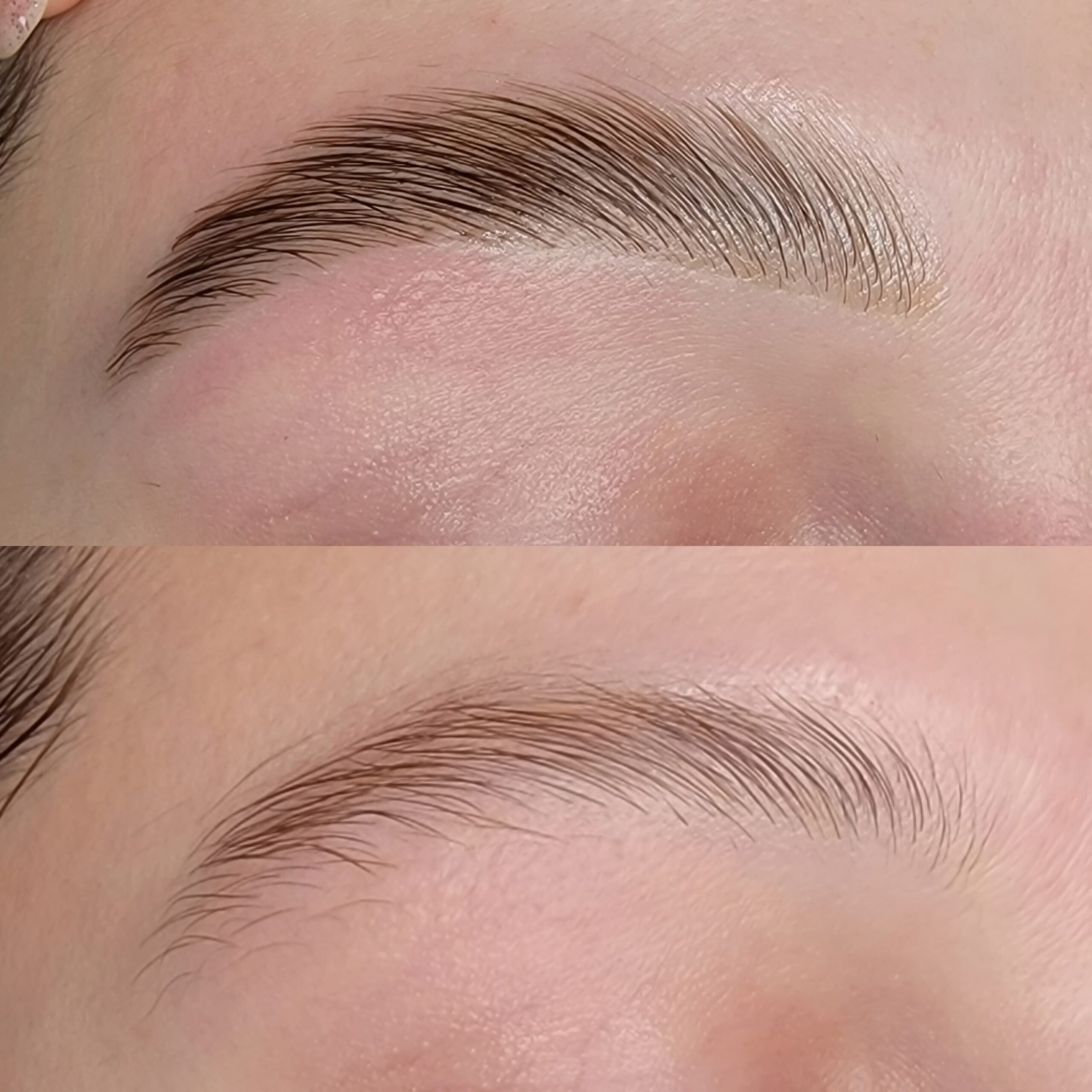 Brow Lami / Tint / Shape